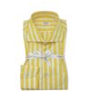 Camicia Rigata 100% cotone